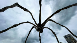 Louise Bourgeois' Maman  ( riesige Spinneninstallation)